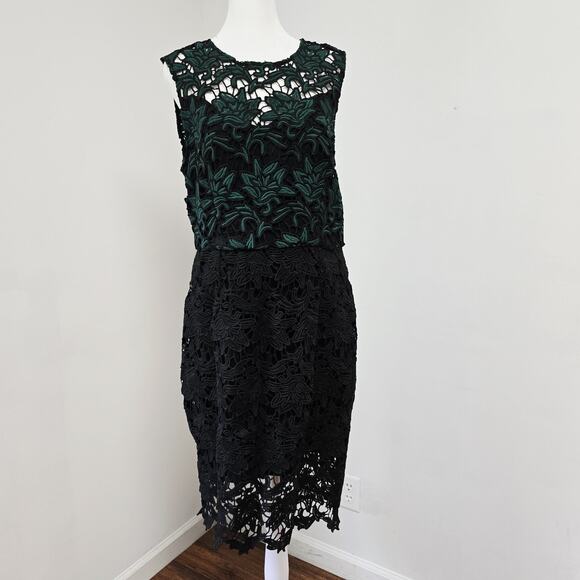 Hutch Dress Size 10 Womens Sheath All Over Lace Green Black Silk Cocktail NWT - Picture 1 of 13